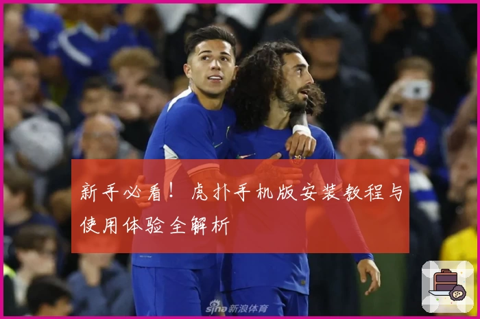 新手必看！虎扑手机版安装教程与使用体验全解析