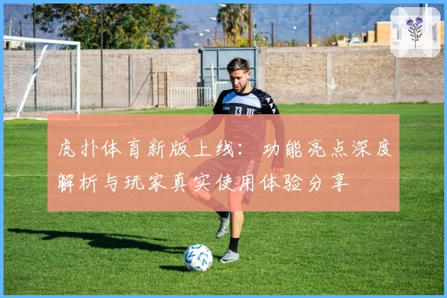 虎扑体育新版上线：功能亮点深度解析与玩家真实使用体验分享
