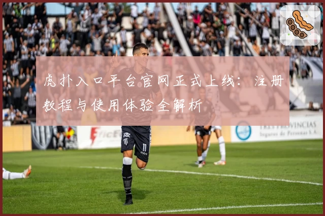 虎扑入口平台官网正式上线：注册教程与使用体验全解析